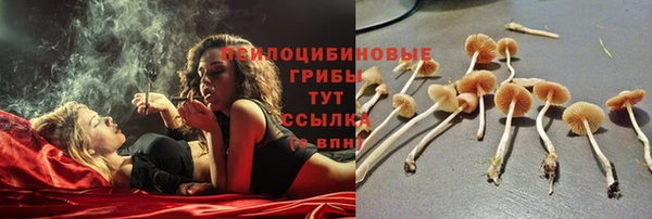 крисы Нефтекумск